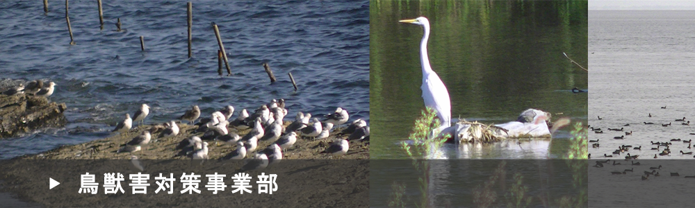 鳥獣害対策事業部のページ画像です。